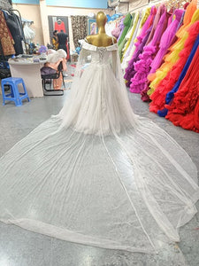 W151 (2) White Off-Shoulder Veil Princess Trail Wedding Gown, Size (XS-30 to XL-40)
