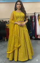 Load image into Gallery viewer, L509,  Mustered Lehenga Choli Size (XS-30 to XL-40),